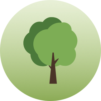 Baum Grafik mit einem grünen durchlässigen Kreis im Hintergrund